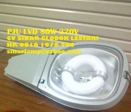Lampu PJU LVD 40W IP 65